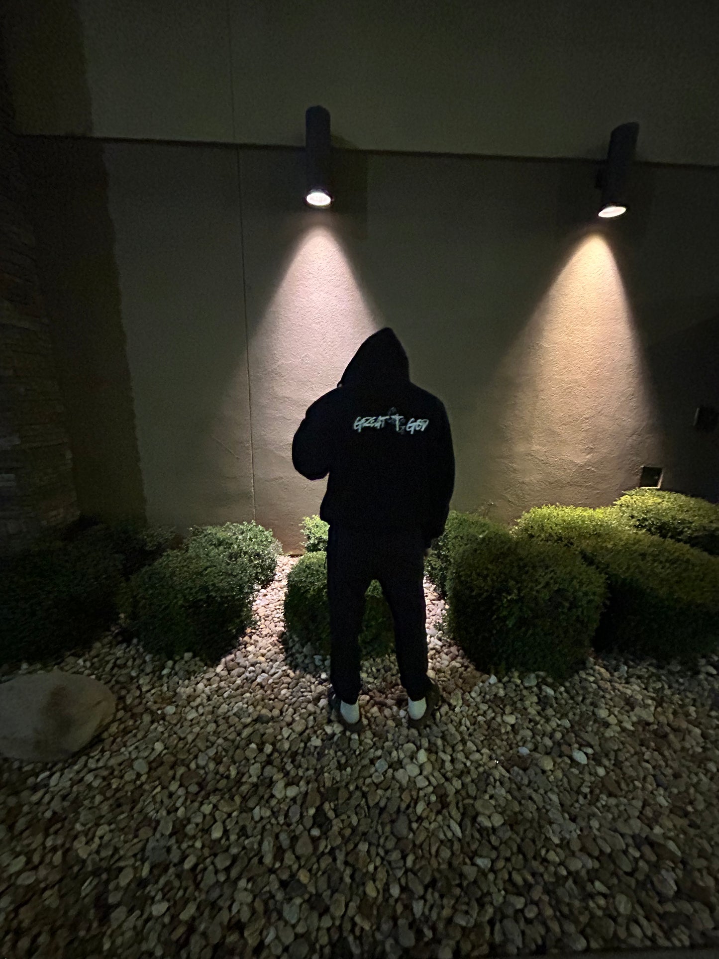 Great Gods hoodie